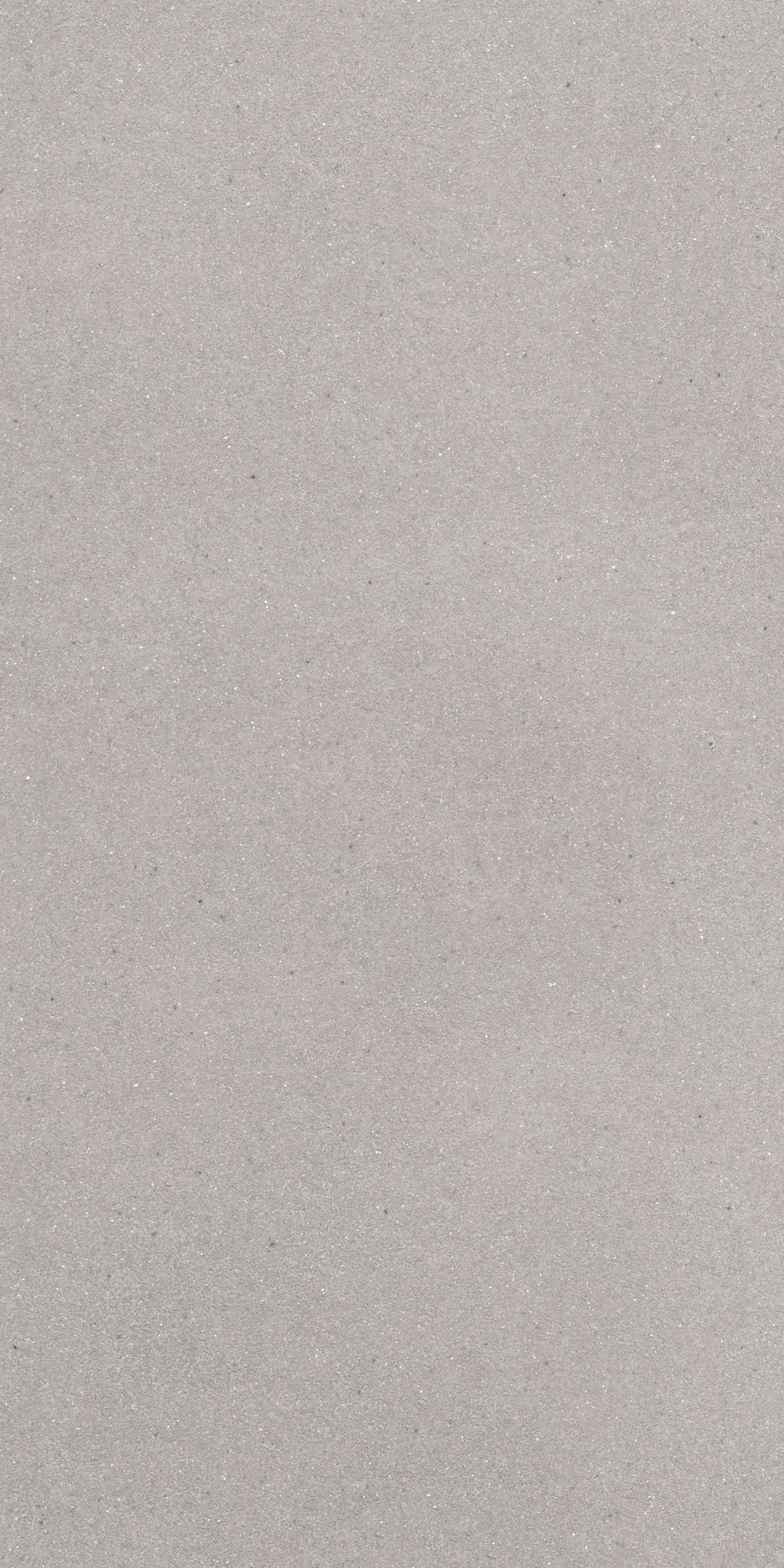 PRESTON GREY MATT 24x48