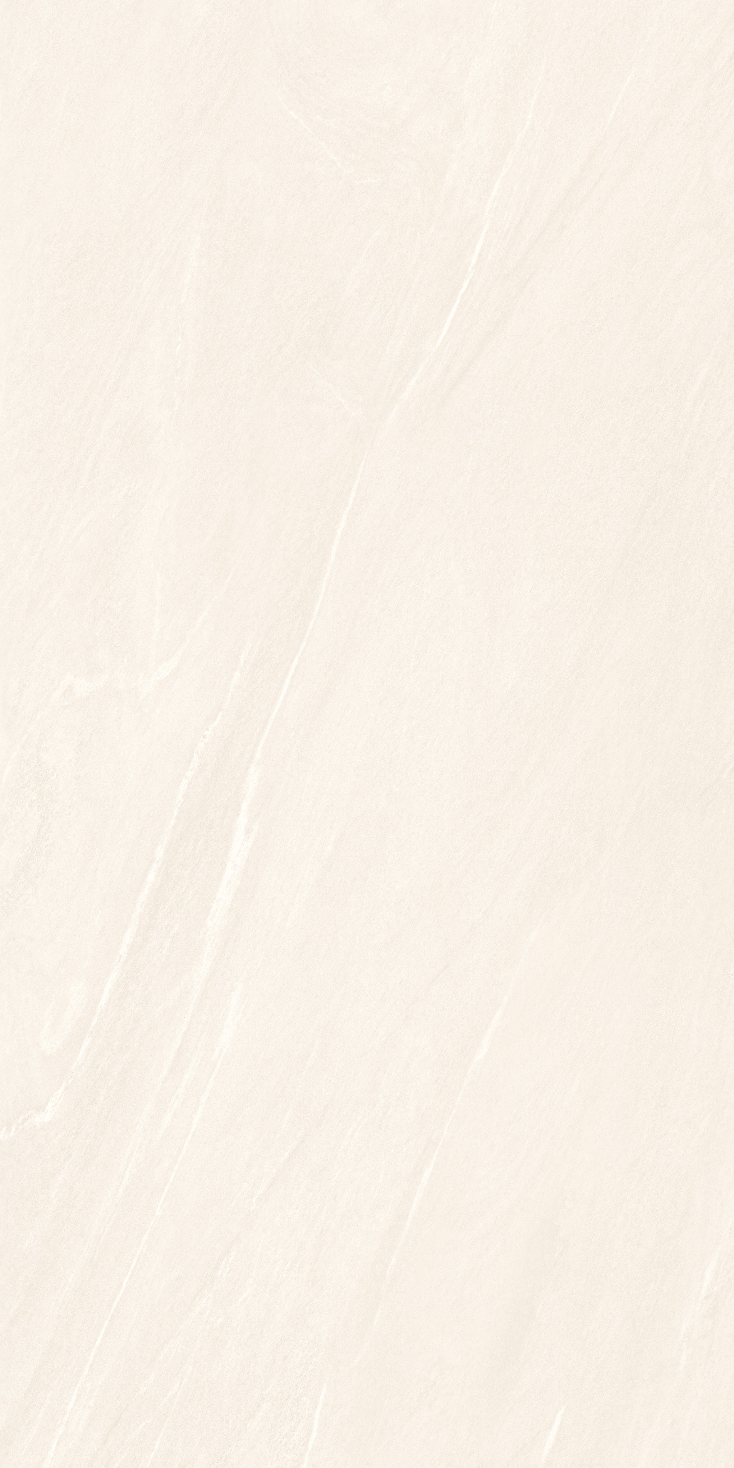 SYMPNONY BIANCO MATT 24x48